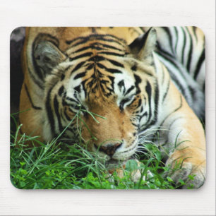 Tapis De Souris Tigre dormant dans l'herbe Mousepad