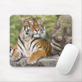 Tapis De Souris Tigre et temple bouddhiste (Avec souris)