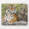 Tigre et temple bouddhiste