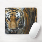 Tapis De Souris Tigre Mousepad (Avec souris)