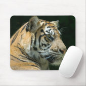 Tapis De Souris Tigre Mousepad de Sumatran (Avec souris)