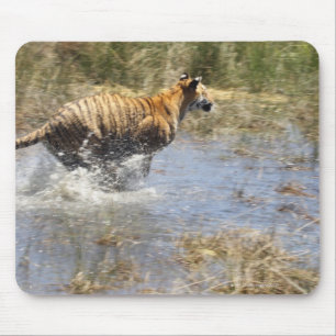 Tapis De Souris Tigre (Panthera le Tigre) fonctionnant par l'eau