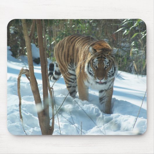 Tapis De Souris Tigre sibérien marchant dans la neige Mousepad (Devant)