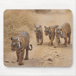 Tapis De Souris Tigres du Bengale