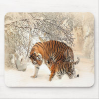 tigres sur neige