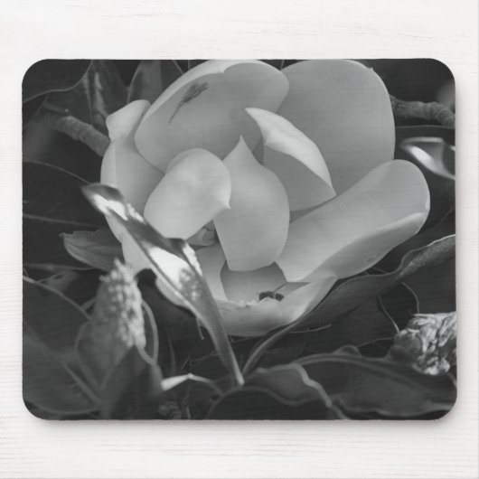 Tapis De Souris Timeless Magnolia (Devant)
