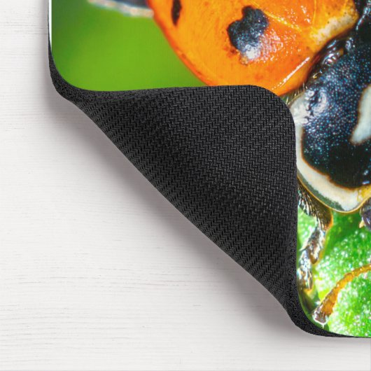Tapis De Souris Tiny Traveler: Ladybug on a Leaf (Coin)