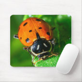 Tapis De Souris Tiny Traveler: Ladybug on a Leaf (Avec souris)