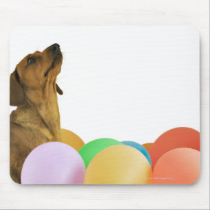 Tapis De Souris Tir de studio