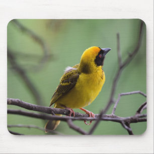 Tapis De Souris Tisserin, Oiseau, Jaune