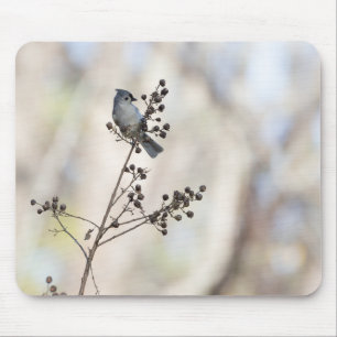 Tapis De Souris Titsouris d'hiver