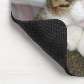 TAPIS DE SOURIS TJ (Coin)