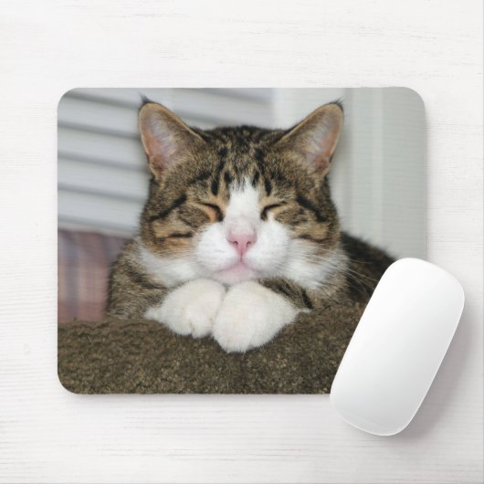 TAPIS DE SOURIS TJ (Avec souris)