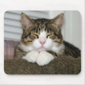 TAPIS DE SOURIS TJ (Devant)