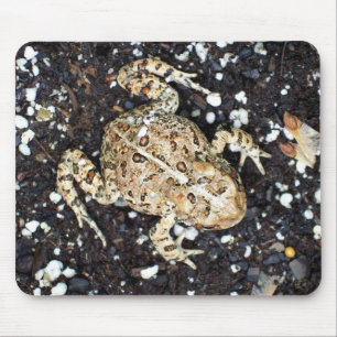 Tapis De Souris Toad