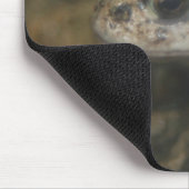 Tapis De Souris Toad Mousepad (Coin)