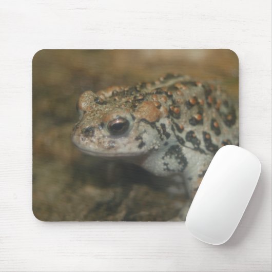 Tapis De Souris Toad Mousepad (Avec souris)