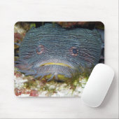 Tapis De Souris Toadfish nous regardant (Avec souris)