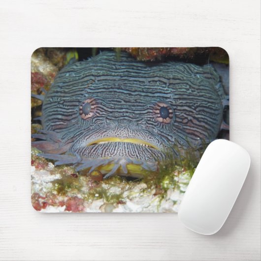 Tapis De Souris Toadfish nous regardant (Avec souris)
