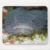 Tapis De Souris Toadfish nous regardant (Devant)