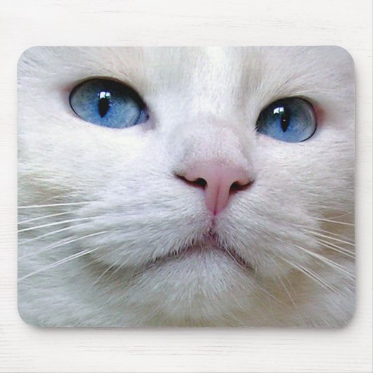 Tapis De Souris Tom (Devant)