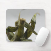 Tapis De Souris Tomate (Avec souris)