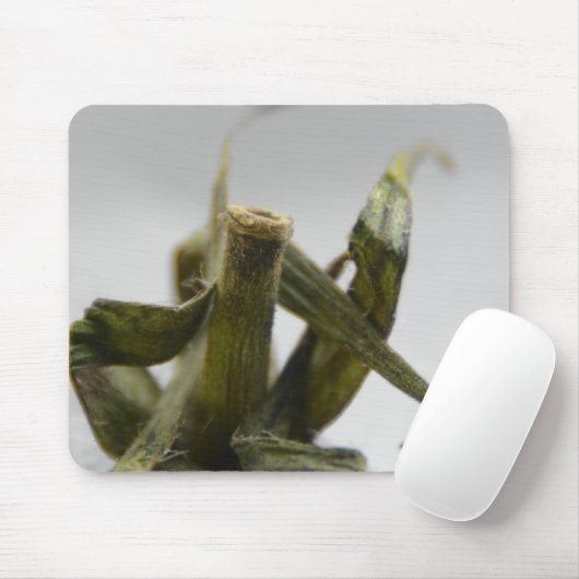 Tapis De Souris Tomate (Avec souris)