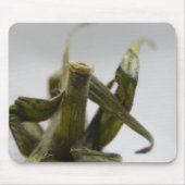 Tapis De Souris Tomate (Devant)