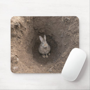 Tapis De Souris Tombé dans le terrier du lapin