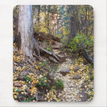 Tombez sur le sentier West Fork