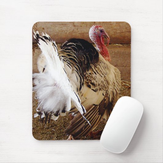 Tapis De Souris Tommy (Avec souris)