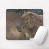 Tapis De Souris toony capibarah (Avec souris)