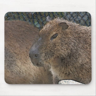 Tapis De Souris toony capibarah
