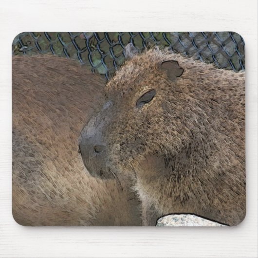 Tapis De Souris toony capibarah (Devant)