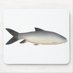 Tapis De Souris Tor Mahseer