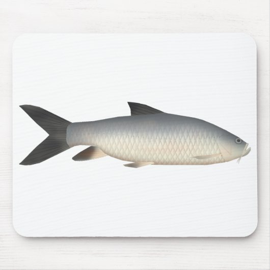 Tapis De Souris Tor Mahseer (Devant)