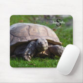 Tapis de souris Tortoise (Avec souris)