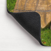 Tapis de souris Tortoise (Coin)