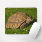Tapis de souris Tortoise (Avec souris)