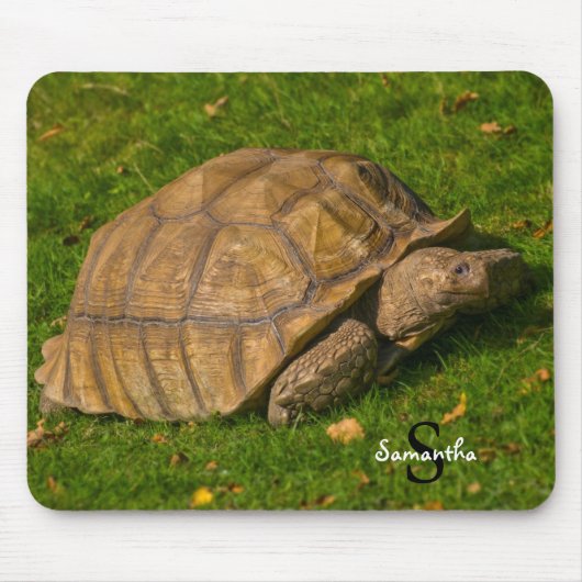 Tapis de souris Tortoise (Devant)
