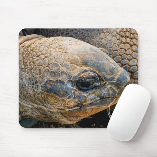 TAPIS DE SOURIS TORTOISE GÉANT (Avec souris)