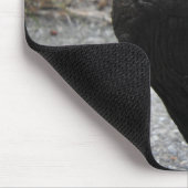 Tapis De Souris Tortoise Mousepad (Coin)