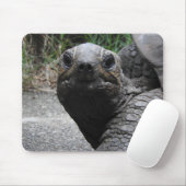 Tapis De Souris Tortoise Mousepad (Avec souris)