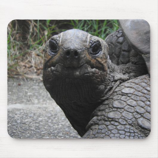 Tapis De Souris Tortoise Mousepad (Devant)