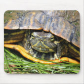 Tapis De Souris Tortue (Devant)