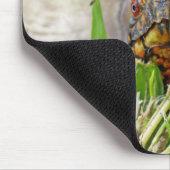 Tapis De Souris Tortue (Coin)