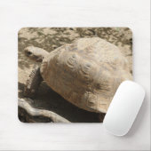 Tapis De Souris Tortue (Avec souris)