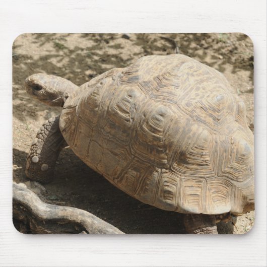 Tapis De Souris Tortue (Devant)