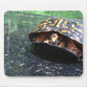 Tapis De Souris Tortue