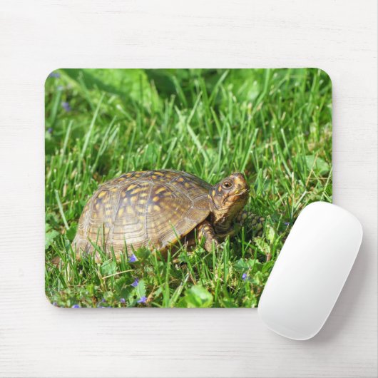 Tapis De Souris Tortue (Avec souris)